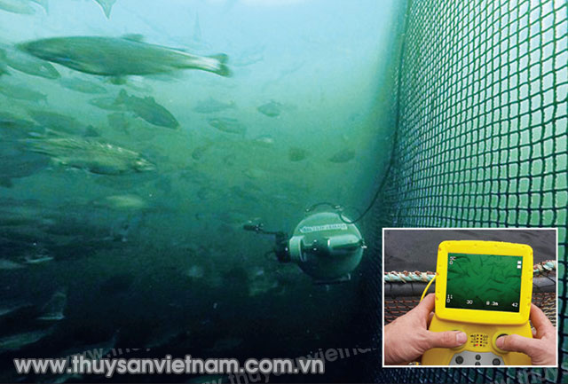 DTX2 ROV - thiết bị điều khiển tự động từ xa mọi hoạt động dưới mặt nước
